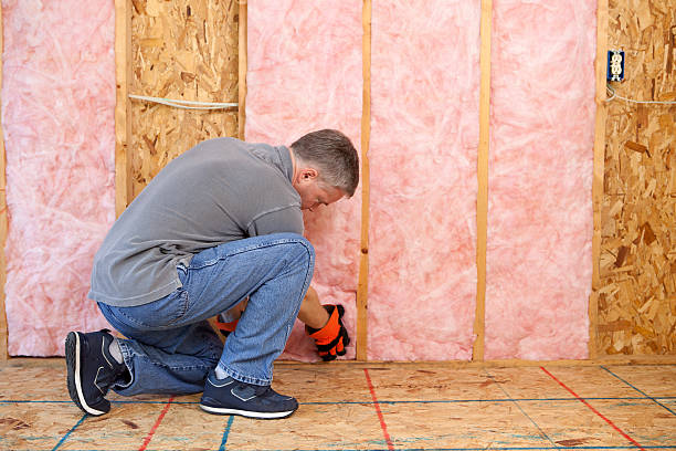 Best Insulation Maintenance and Repair in Monroe, NC