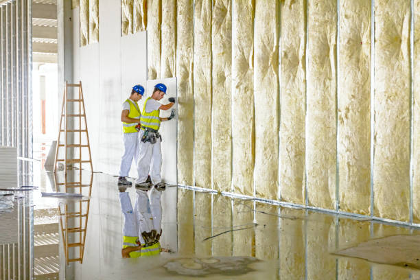 Best Commercial Insulation in Monroe, NC
